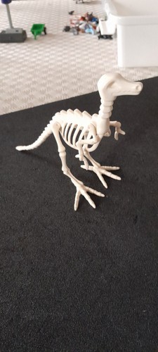 Animal prehistorique squelette - animal,