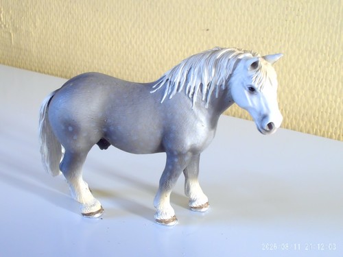 Cheval etalon percheron gris - etalon,