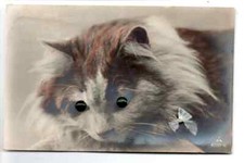 Old postcard cat with green eyes inlaid glass. Good condition visible on scans. payment 