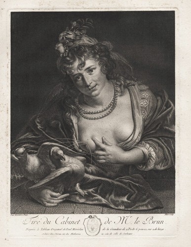 Vénus allaitement pigeons - vénus,