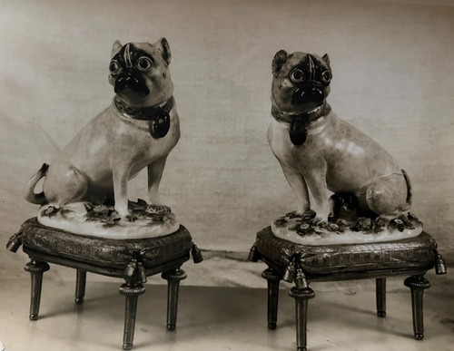 Photographie saxe porcelaine - photographie,