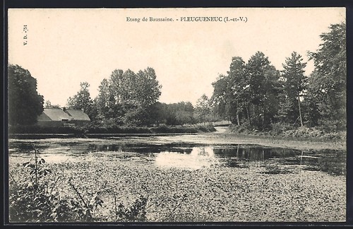 Cpa pleugueneuc étang de - cpa, pleugueneuc,