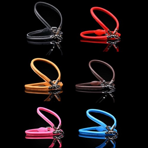 Harnais pour chien chiot - chien,