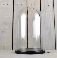 Glass Dome Cover Cloche Display With Black Wooden Base