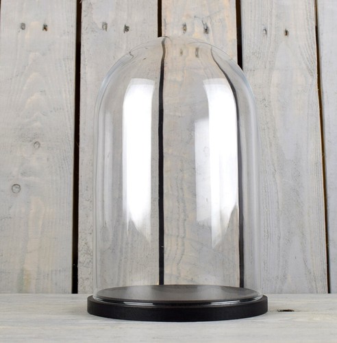 Cloches vitrine avec base - cloches,