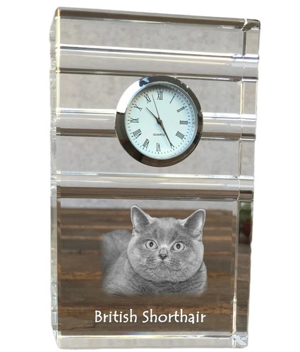 British shorthair horloge - horloge, à
