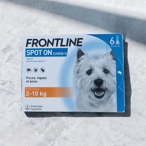 Spot pour petit - spot,