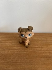 Littlest Petshop LPS #893