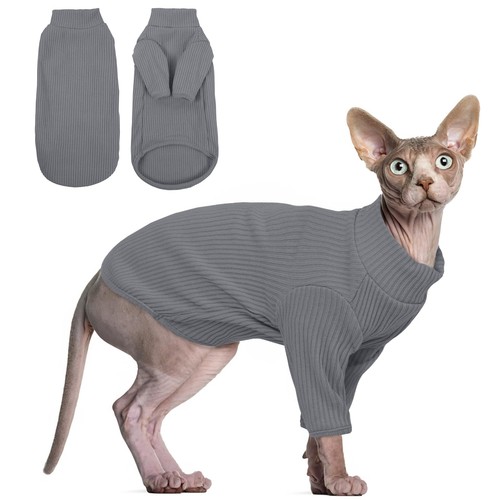 Pull chat sphynx - pull,
