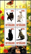 Chats British Shorthair