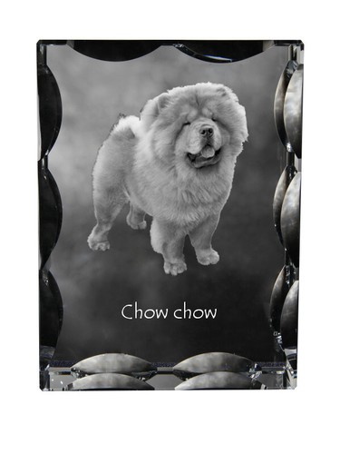 Chow cristal avec - -, un