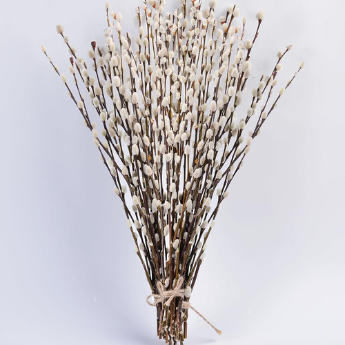 Stems real dried - 45,