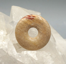 Bois Versteinert Remorque