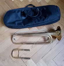 TROMPETTE naturelle de