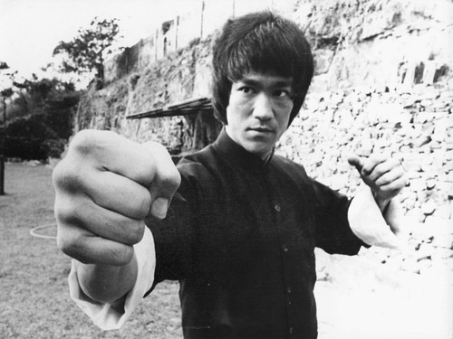 Bruce lee kung fu - bruce,