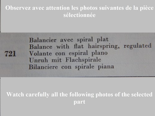 Balancier complet part 721 - balancier,