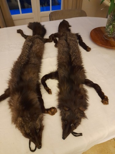 étoles fourrures renard - de,
