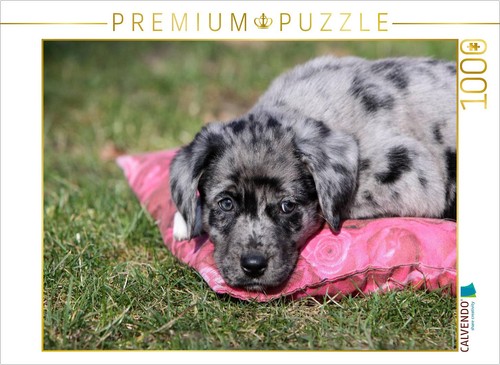 Puzzle calvendo chiot croisé - puzzle,