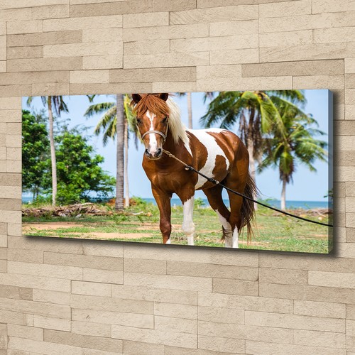 Tulup image sur toile - tulup,