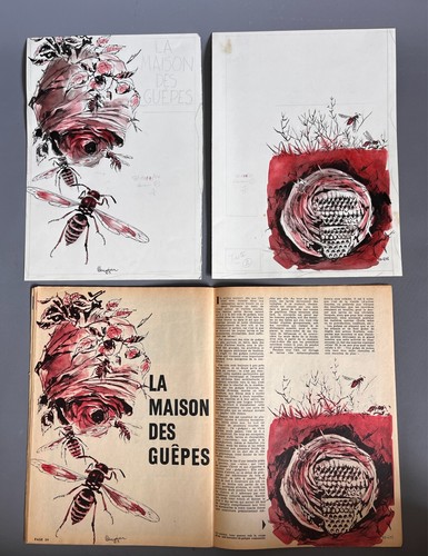 Rene hausman deux dessins - -,