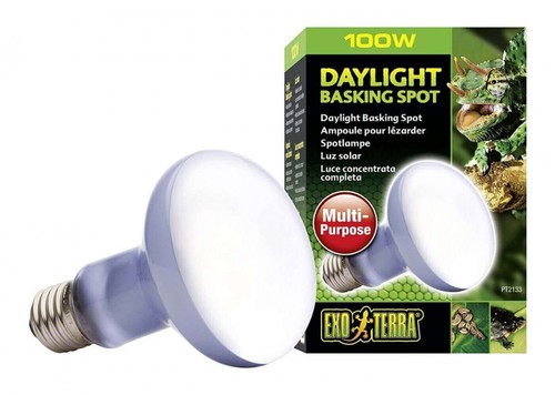 Exo terra ampoule - exo, daylight
