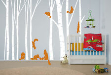 Birch Tree Wall Decal Forest