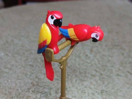 Oiseaux volière 3 - de,