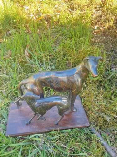 Biblo chien chasse - chien, a