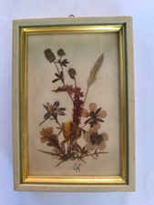 Cadre De Fleurs Séchées
