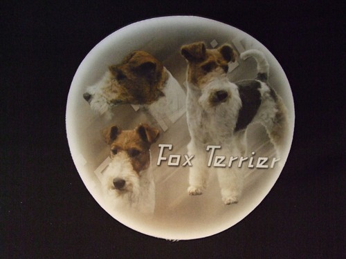 Tapis souris fox - tapis,