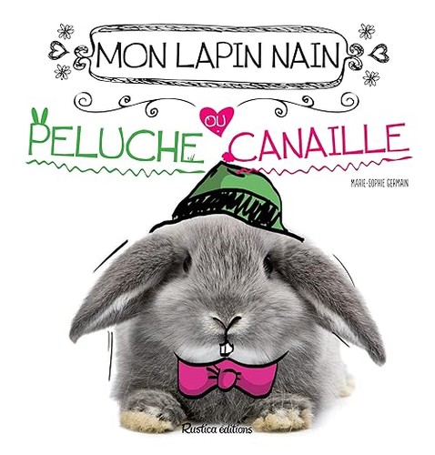 Mon lapin nain peluche ou - mon,