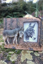 NA0463   CADRE  PHOTO