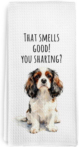 Funny cavalier king - funny, charles