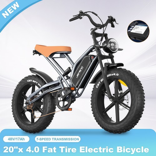 Vélo électrique 250w 48v - vélo,