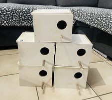 Nid Perruche Ondulee