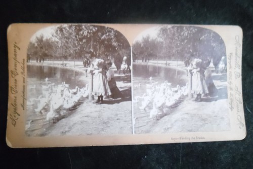 Sta695 parc enfants - enfants, lac