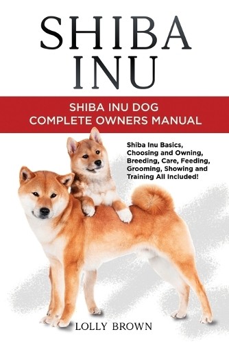 Lolly brown shiba inu - shiba, (poche)