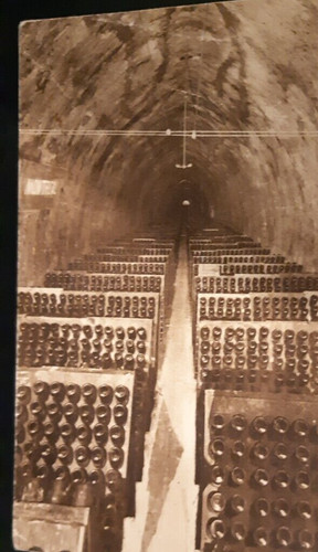 Cave vin - cave,