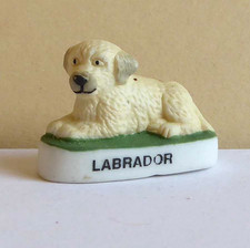 Dogs / Puppies Bean - 2016 - Labrador