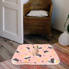 2 Pcs Des Cages Pour Animaux Compagnie Petits Tapis Dressage