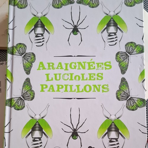 Araignées lucioles papillons - lucioles,