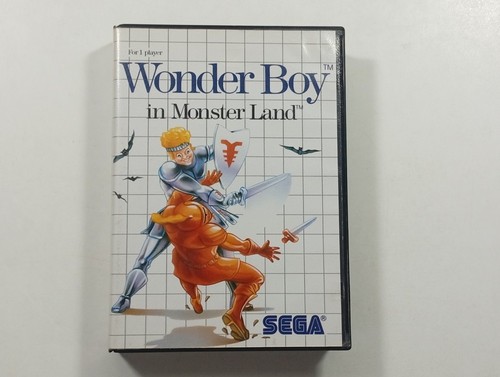 Wonder boy monster land - boy, in