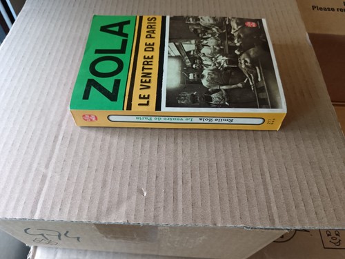 Zola livre poche - livre,