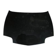 Capot Pour Pontiac Sunfire 95-03 Pièce Certifiée TKB