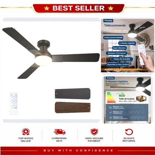 Ventilateur plafond avec - ventilateur,