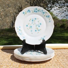 Ensemble de 6 assiettes à