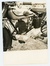 PHOTO, old motorcycle motorcycle motorcycle motorbike motorcycle engine TERROT