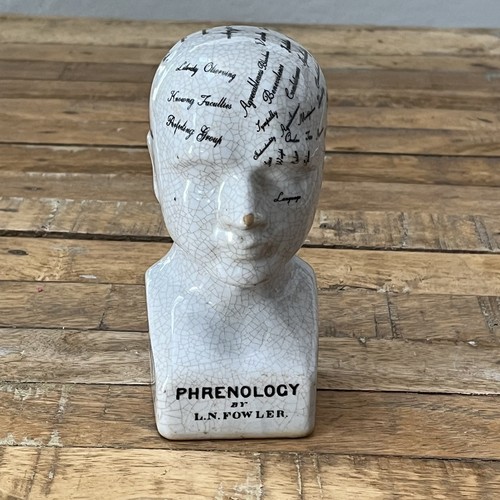 Ceramic phrenology head bust - phrenology,