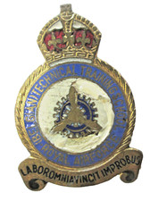 Armée BELGE  -  Insigne : Belgian Technical Training School Royal Air Force -
