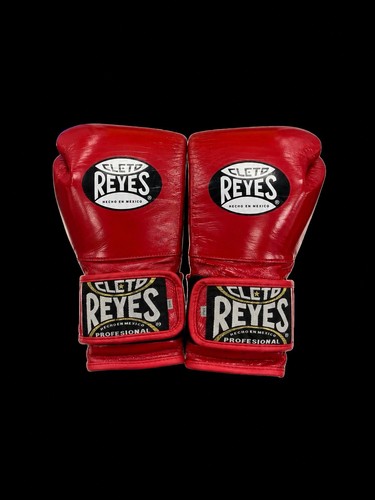 Cleto reyes training gloves - training,